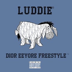 Dior Eeyore Freestyle
