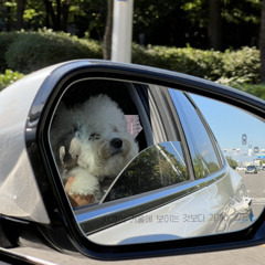 [cover] IU - 금요일에 만나요