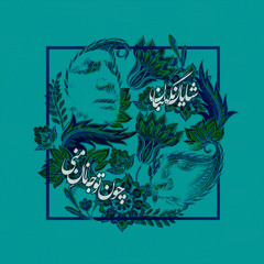 Janane Mani (ريميکس چون تو جانان مني شجريان)