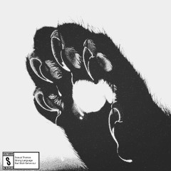 Bad Girls Come Back (prod. calldealer)