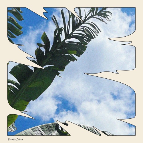Forest is all around (gassenengel smooth jungle remix)