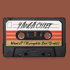 Yanga Chief - What if? (Kwenzekile Zan-D Edit)
