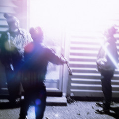 Butterflies and Daisies (Rain)