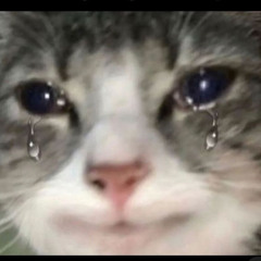 1er juillet - 7:1:24 12.00