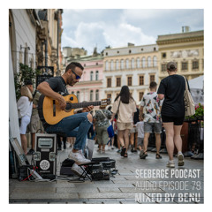 Seeberge Podcast - AE078