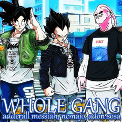 WHOLE GANG *2020*