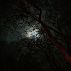 STARLESS NIGHT