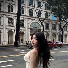 TAI SINH - PHUONG FIN REMIX