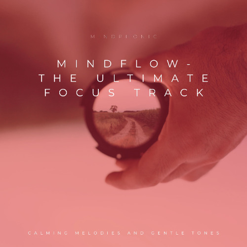 Mind Flow