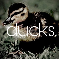 Waterfall (instrumental)