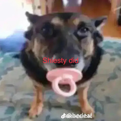 Shiesty did feat. big brody