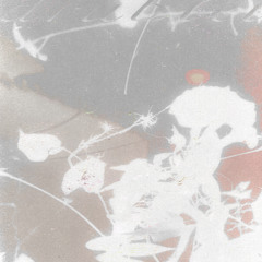 hush ~ 24 - Guest Mix by drublei