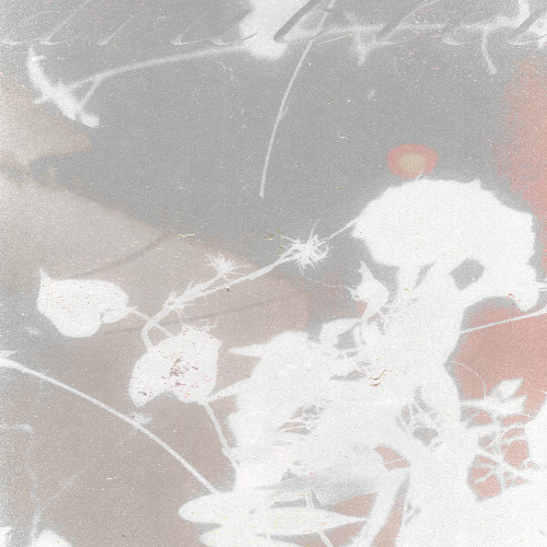 hush ~ 24 - Guest Mix by drublei