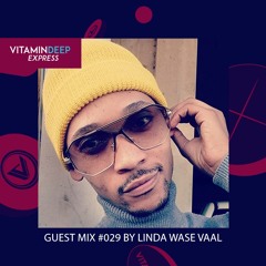 Vitamin Deep Express Guest Mix #029 By Linda Wase Vaal