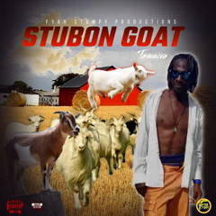 Stubon Goat