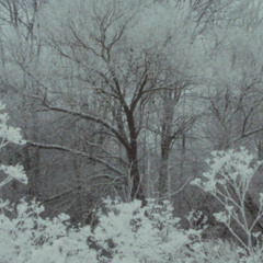 Kissing your thickening