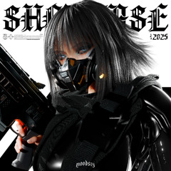///showcase 2025