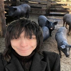 Sadisfaction, но на фоне режут свиней