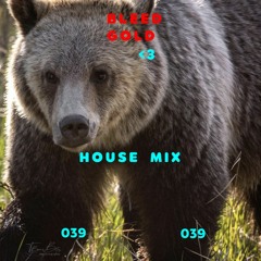 House mix 039