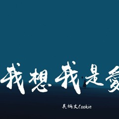 吴炳文Cookie - 我想我是爱你【動態歌詞/Lyrics Video】