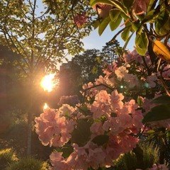 ผมเตรียมดอกไม้ไว้ให้