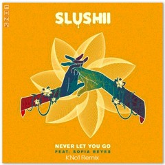 Slushii - Never Let You Go Ft. Sofia Reyes (KNo1 Remix)