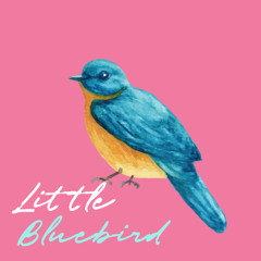 Little Bluebird