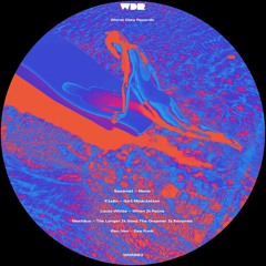 Louis White - When It Rains [WDR003]