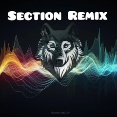 Section Remix