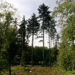 back to friends - sombr guitar cover