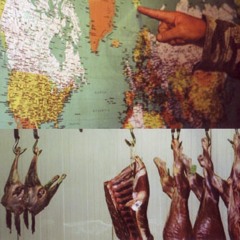 Meat Supply
