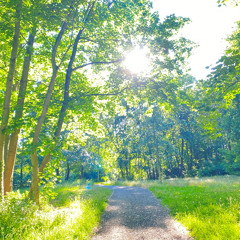 K55 b2b Ghostselector