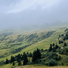 Bratři - Haze