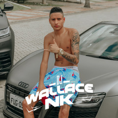 Louco De MD, Nos Vai Descendo E Subindo (feat. MC Dricka)