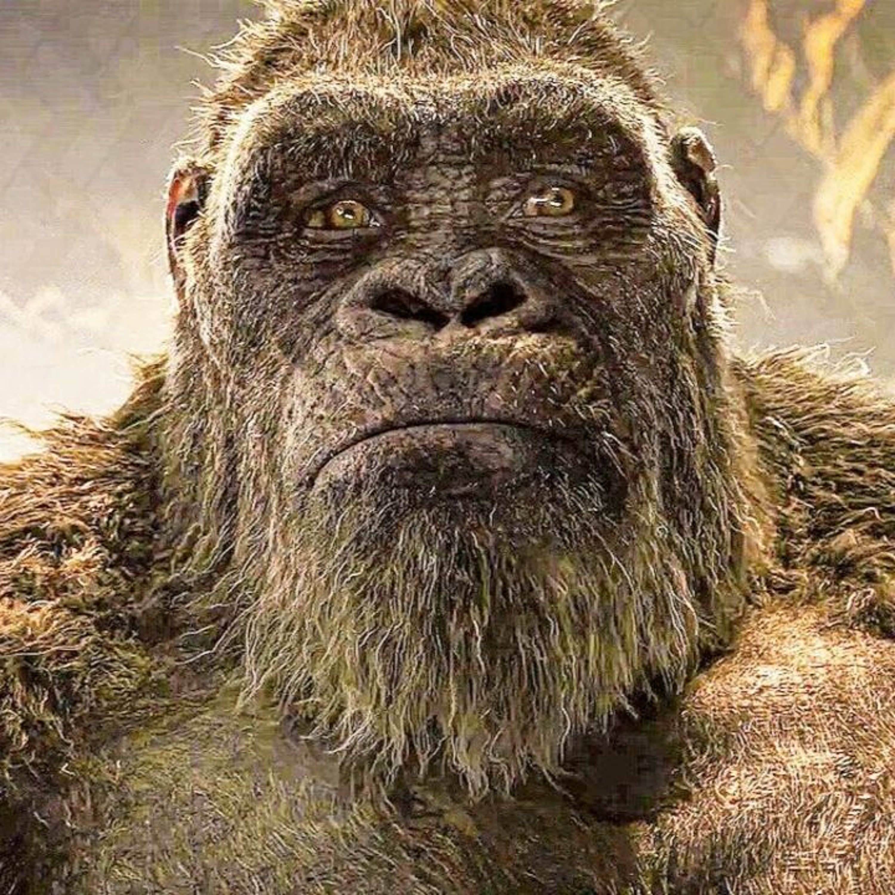 #203 Godzilla vs Kong Review episode artwork