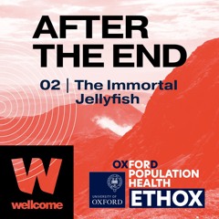 02 | The Immortal Jellyfish - Miranda Lowe