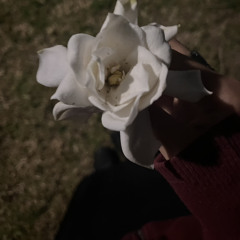 In Loving Memory of You, Despite You