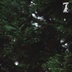 stillness 01 : GOJII [24 Dec 2025]