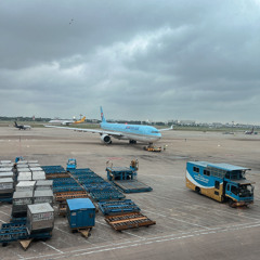 Rừng Ngập Mặn Tứn Khỉ FT Văn Chiến