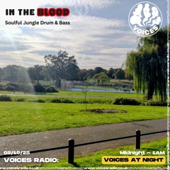 In The Blood Presents Soulful Jungle Drum & Bass on Voices Radio Oct 25