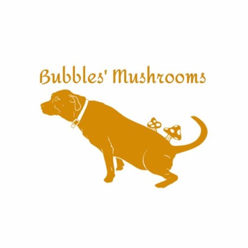 Bubbles Mushrooms Themes