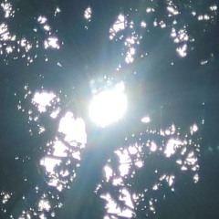 Other side of the Sun.mp3