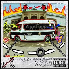 XIIVI - ZEBI BEL FRAISE