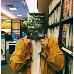 how to save a life with weed ft. KingPollo