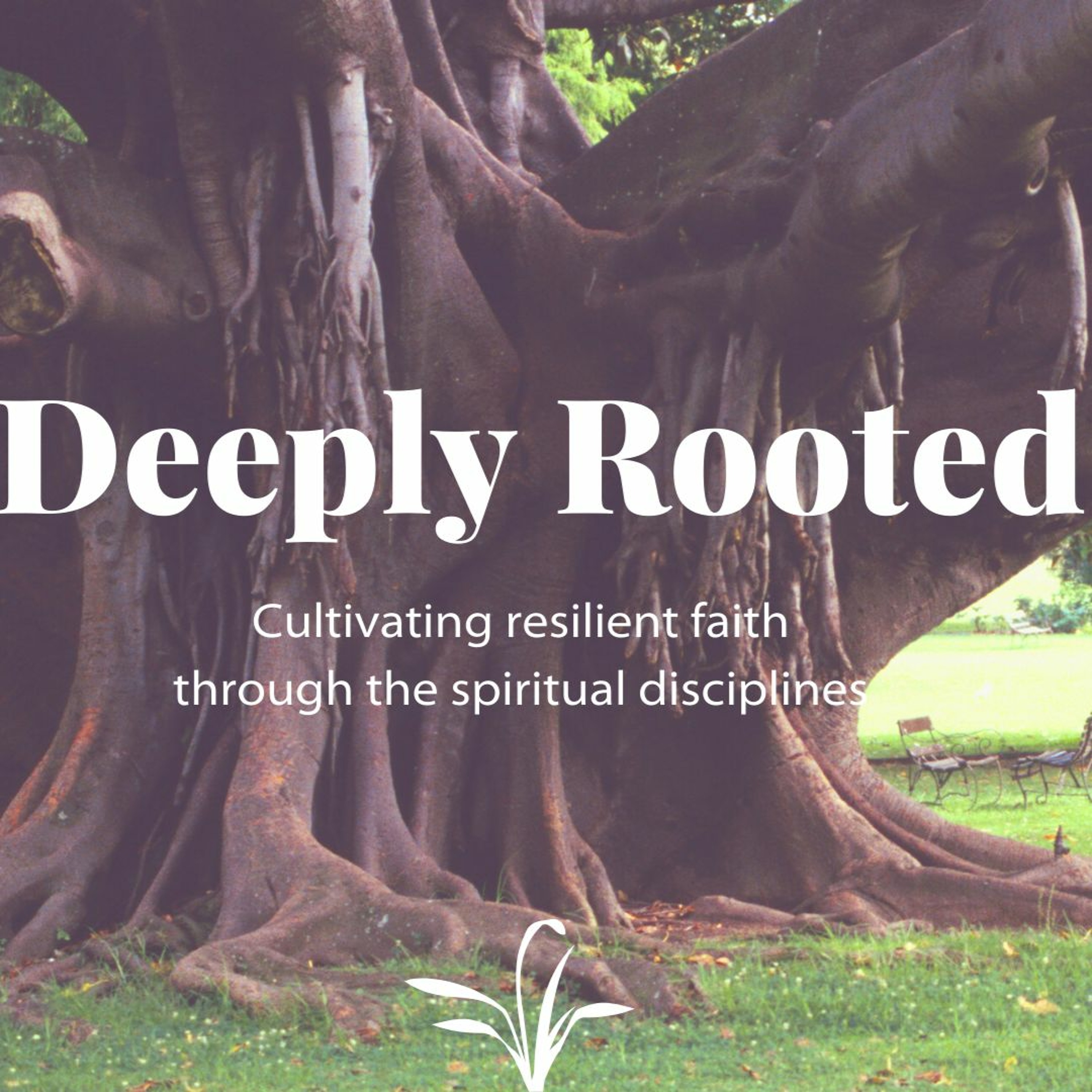 Deeply Rooted, Part 6—Hospitality