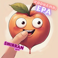 Snirran Ville