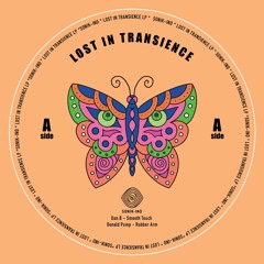 Lost In Transience LP
