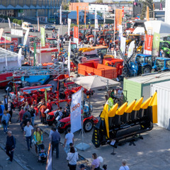 Rural - 2025_11_17-19-13-54