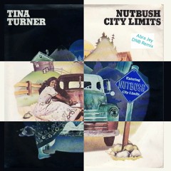 Tina Turner - Nutbush City Limits (Abra Jey Drum And Bass Remix)