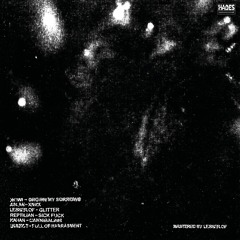 HDSVA001 - Various Artists - BORN FROM CHAOS [Preview]